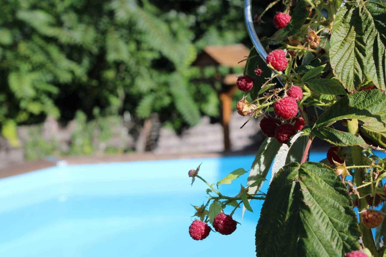 Bed and Breakfast Le Chat Botte - Vankantiehuis In Languedoc-Roussillion Routier Zewnętrze zdjęcie